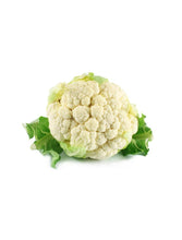 Load image into Gallery viewer, Carrot