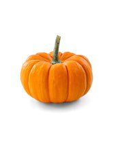 Load image into Gallery viewer, Pumpkin